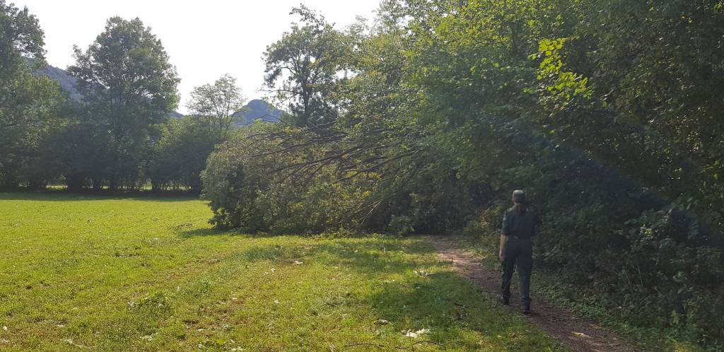 I danni al Campo dei Fiori