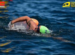 massimiliano ferrario nuoto in acque libere