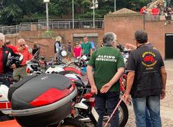 Motoadunata alpina 2019
