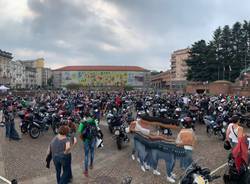 Motoadunata alpina 2019
