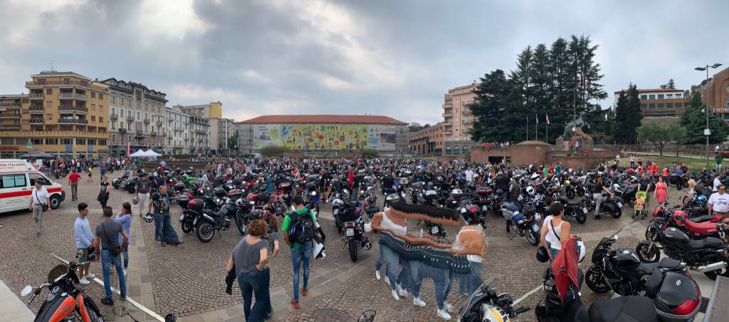 Motoadunata alpina 2019