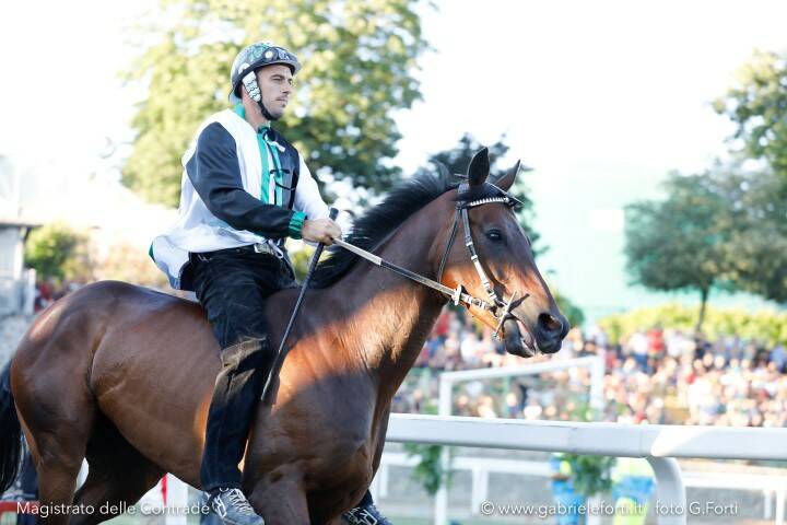 Palio Piancastagnaio 2019 Forti Gabriele 14