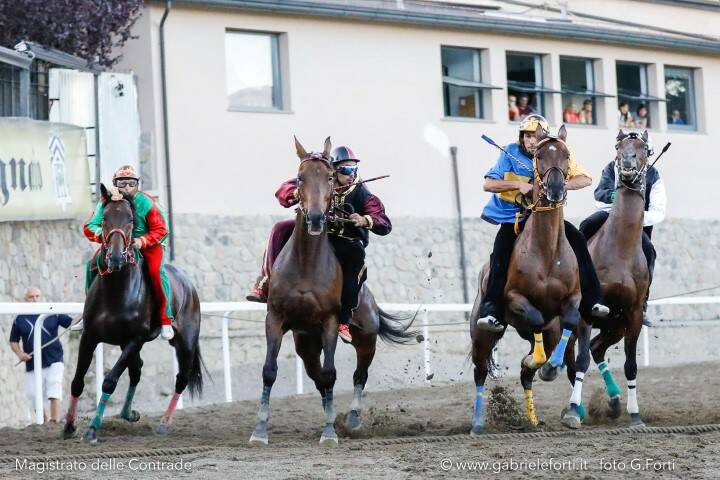 Palio Piancastagnaio 2019 Forti Gabriele 15
