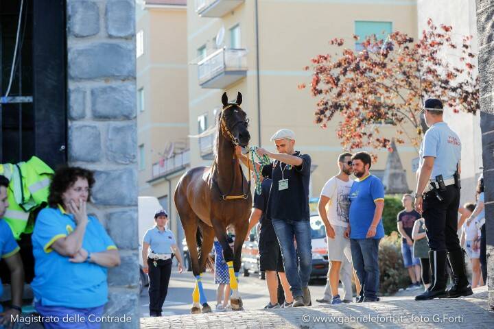 Palio Piancastagnaio 2019 Forti Gabriele 7