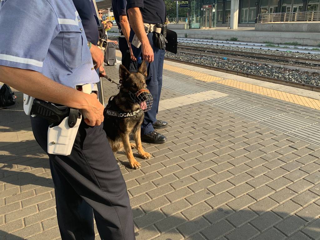 Presidio cinofilo stazione Gallarate