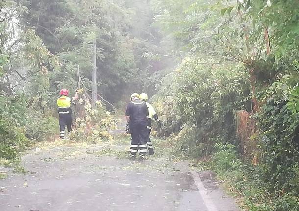 protezione civile gallarate