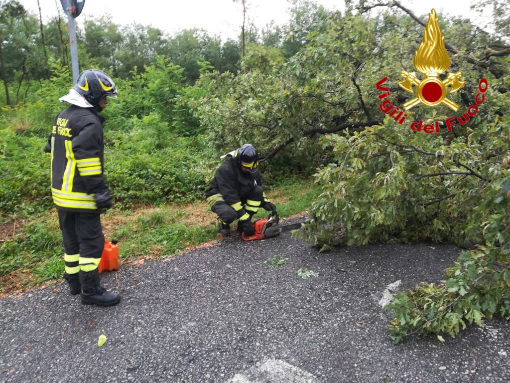 Provincia. maltempo, foto Vigili del fuoco