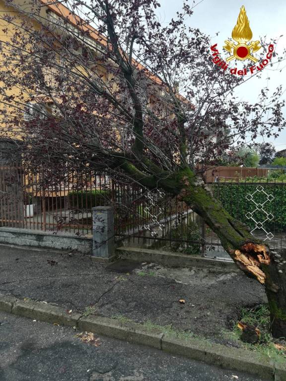 Provincia. maltempo, foto Vigili del fuoco