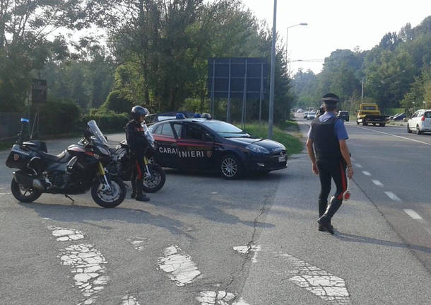 varese generiche