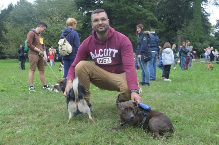 cane fantasia legnano canile protezione animali  1 