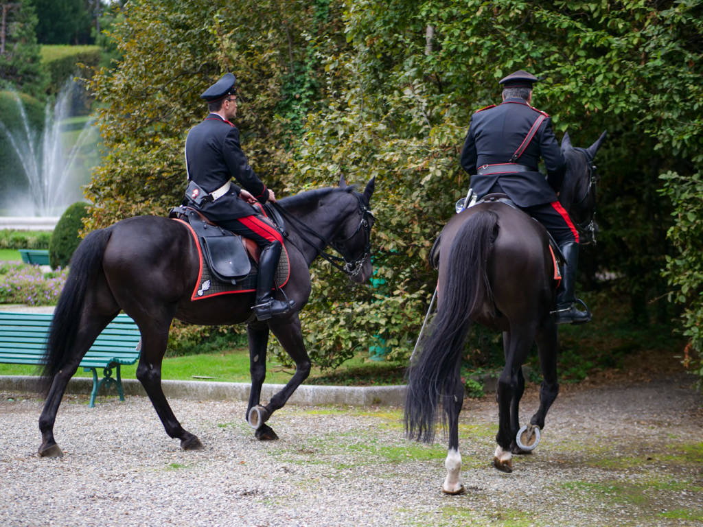 carabinieri cavallo