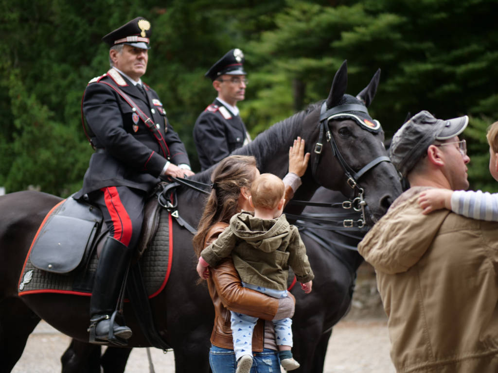 carabinieri cavallo