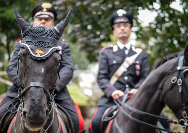 carabinieri cavallo