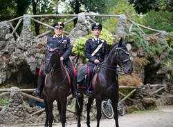 carabinieri cavallo