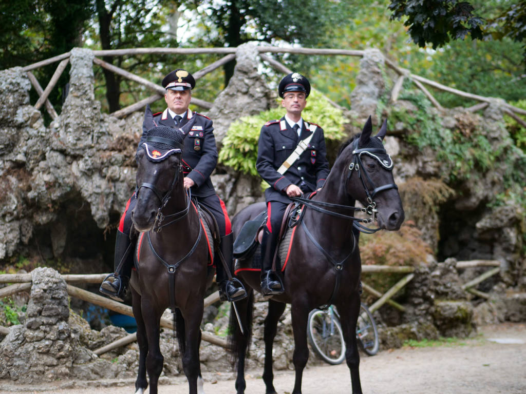 carabinieri cavallo