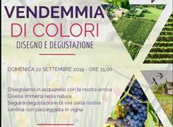 Degustazione di vini e disegni in acquarello