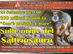 Com\'è profondo il mare - Sulle orme del Saltriosauro