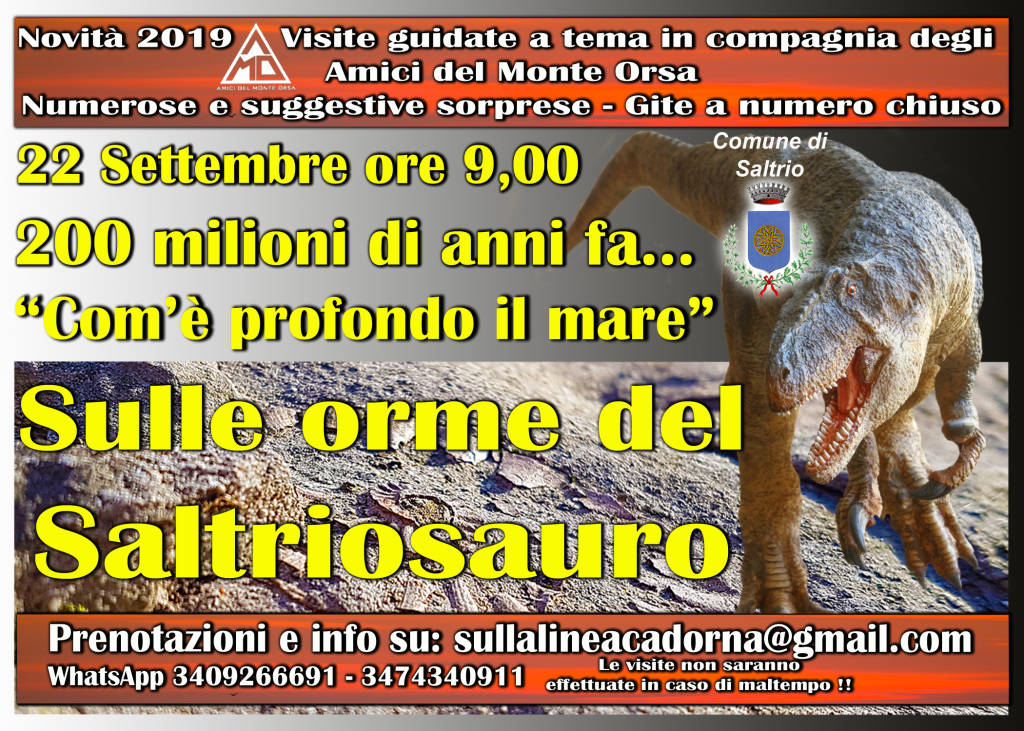 Incontri rocce e fossili