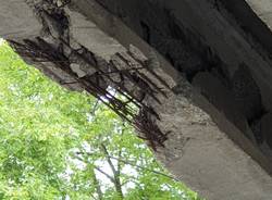 Ponte deteriorato sulla Sp1