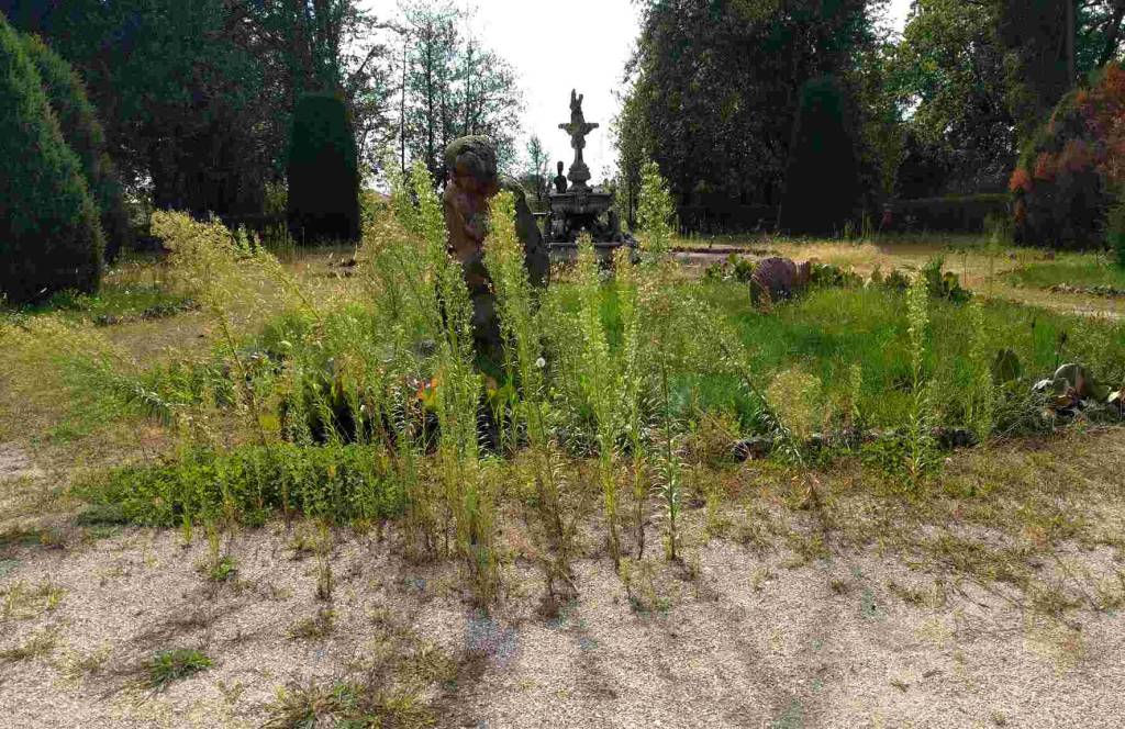 Parco di Villa Recalcati, la proposta del Comune – Appello