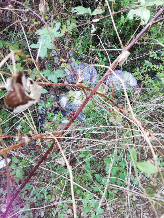 RIFIUTI NEL PARCO TICINO