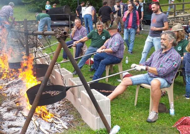 La super castagnata di Cuvio