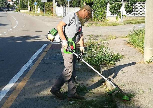 erbe infestanti castellanza