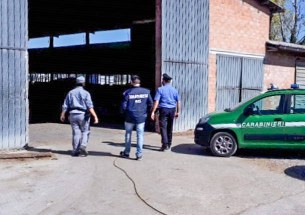 fattoria carabinieri