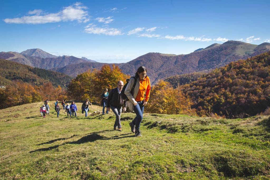 Foliage all'oasi zegna