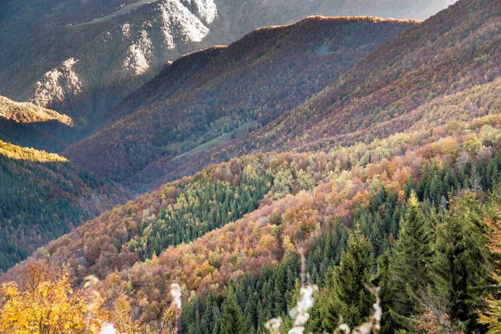 Foliage all'oasi zegna