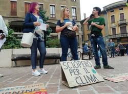 fridays for future busto arsizio