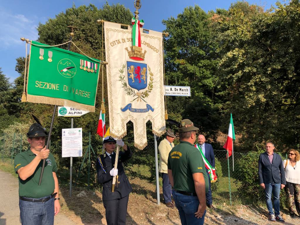 Festa alpini Somma