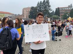 I cartelli di fridays for future