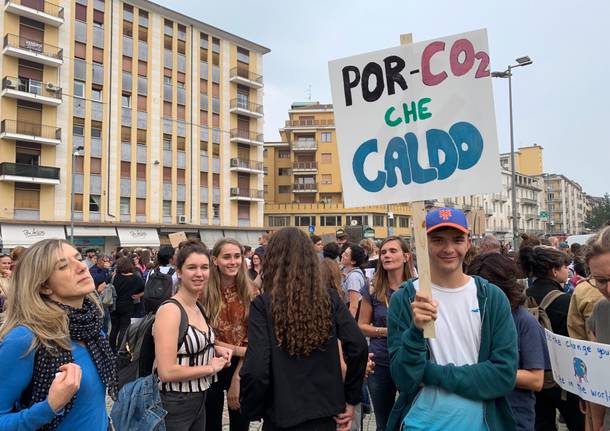 I cartelli di fridays for future