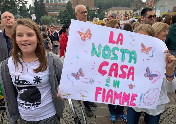 I cartelli di fridays for future