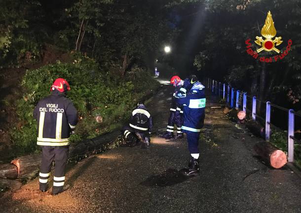 Interventi dei vigili del fuoco per il maltempo