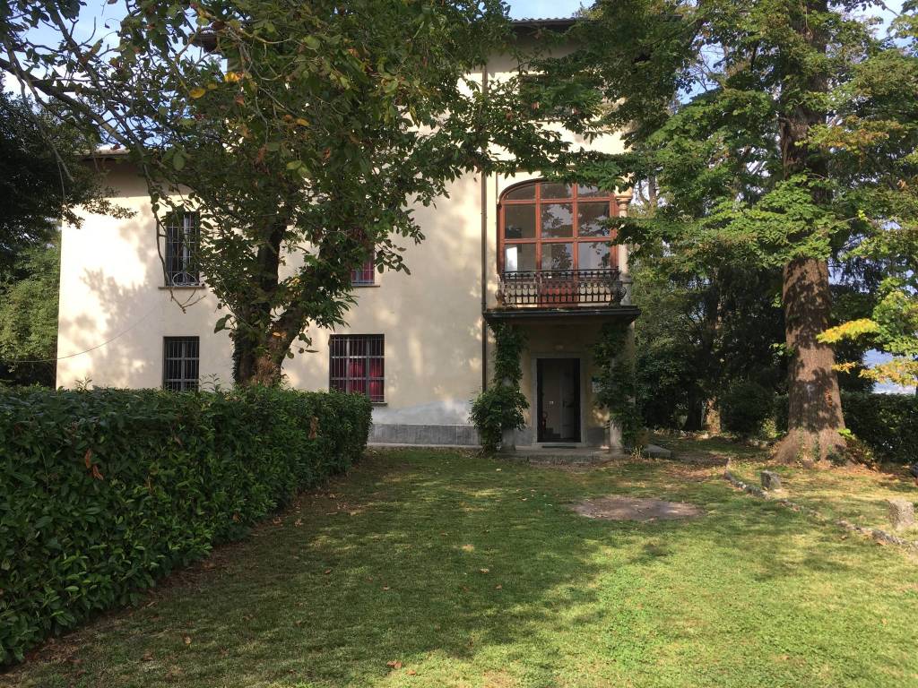 Nature Urbane accende i riflettori sull'Isolino Virginia