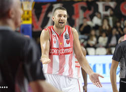 pallacanestro varese basket