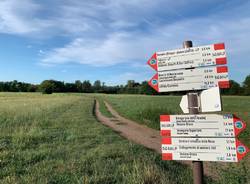 Parco Pineta - Binago