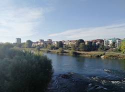 pavia