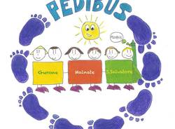 pedibus malnate