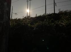 Un bosco in città da evitare 