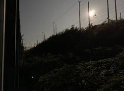 Un bosco in città da evitare 