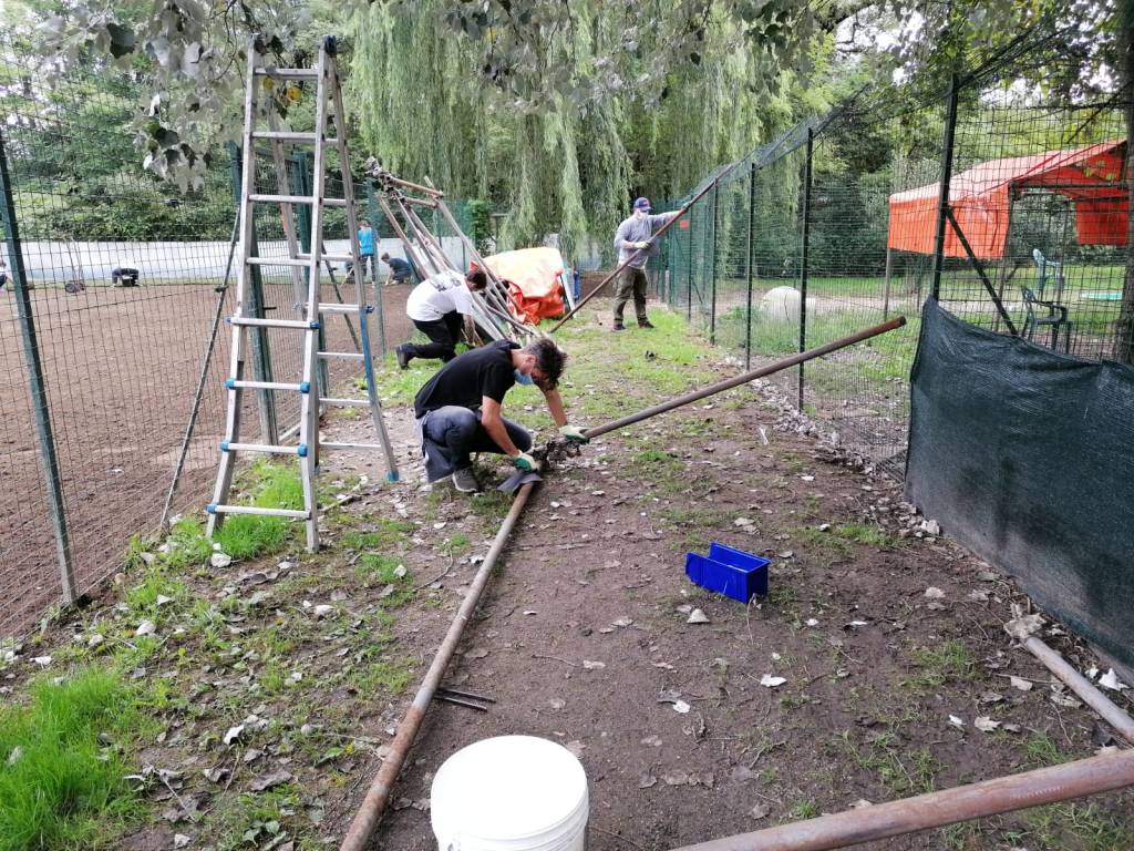 Volontariato al canile di Varese