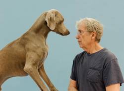 William Wegman al MASI