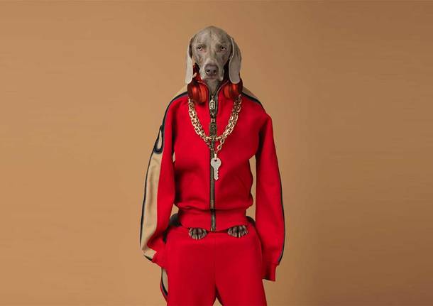 William Wegman al Masi