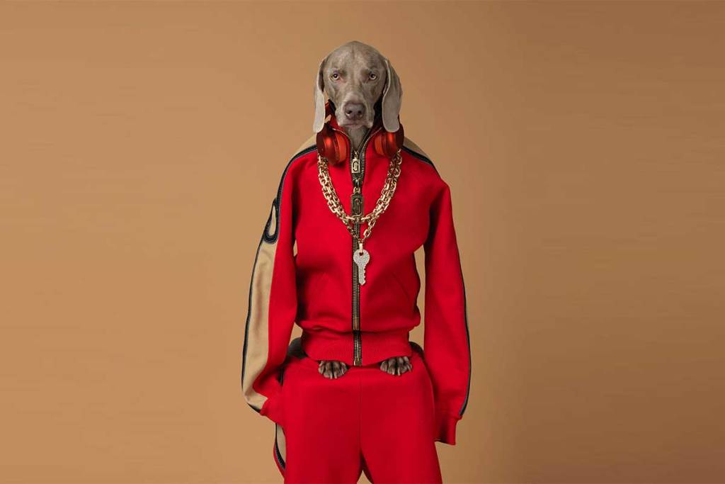 William Wegman al MASI