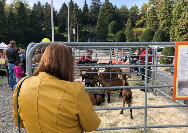 Agrivarese 2019, il taglio del nastro ai Giardini Estensi di Varese