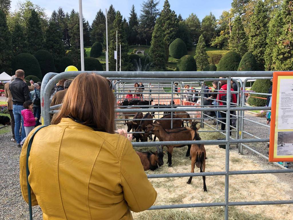 Agrivarese 2019, il taglio del nastro ai Giardini Estensi di Varese