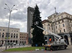 Allestimento albero di Natale 2019 a Varese